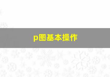 p图基本操作