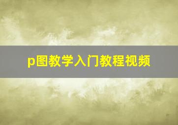 p图教学入门教程视频