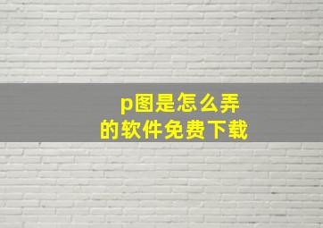 p图是怎么弄的软件免费下载