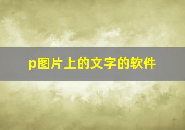 p图片上的文字的软件