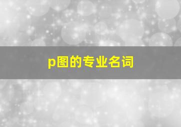 p图的专业名词