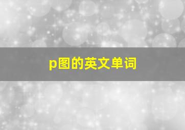 p图的英文单词