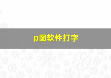 p图软件打字