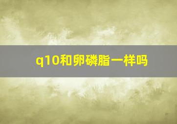 q10和卵磷脂一样吗