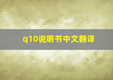 q10说明书中文翻译