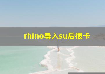 rhino导入su后很卡