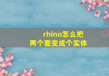 rhino怎么把两个面变成个实体