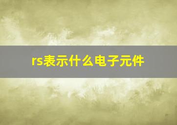 rs表示什么电子元件