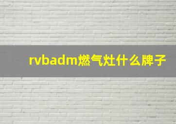 rvbadm燃气灶什么牌子