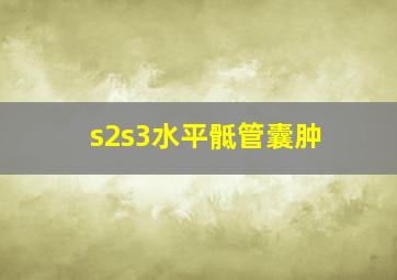 s2s3水平骶管囊肿