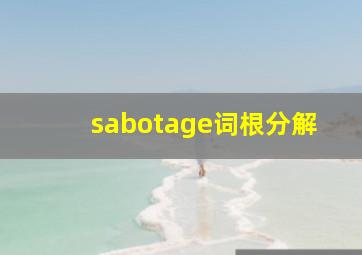 sabotage词根分解