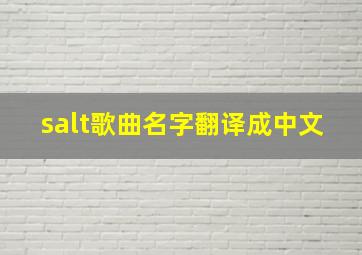 salt歌曲名字翻译成中文