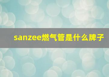 sanzee燃气管是什么牌子