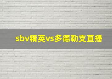 sbv精英vs多德勒支直播