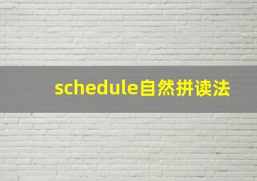 schedule自然拼读法