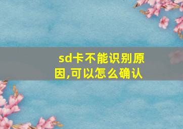 sd卡不能识别原因,可以怎么确认