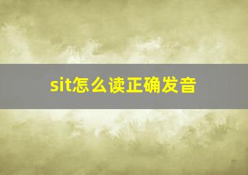 sit怎么读正确发音