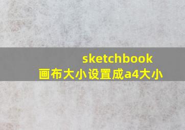 sketchbook画布大小设置成a4大小