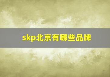 skp北京有哪些品牌