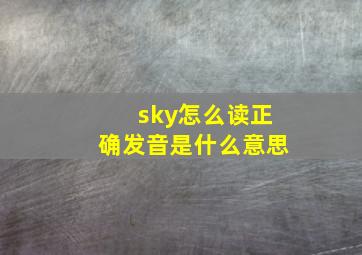 sky怎么读正确发音是什么意思