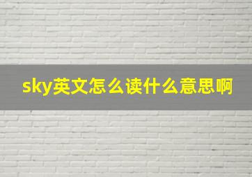 sky英文怎么读什么意思啊