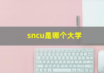 sncu是哪个大学