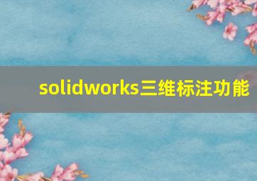 solidworks三维标注功能