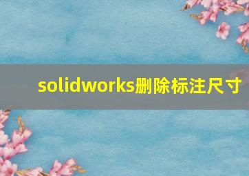 solidworks删除标注尺寸