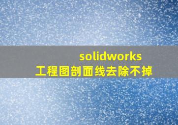 solidworks工程图剖面线去除不掉