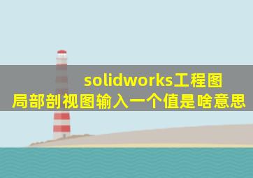 solidworks工程图局部剖视图输入一个值是啥意思