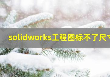 solidworks工程图标不了尺寸