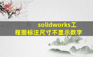 solidworks工程图标注尺寸不显示数字