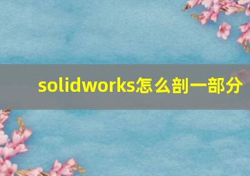 solidworks怎么剖一部分