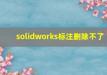 solidworks标注删除不了