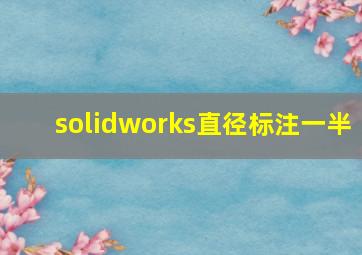 solidworks直径标注一半