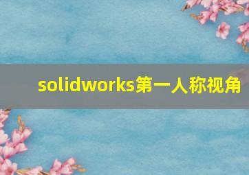 solidworks第一人称视角