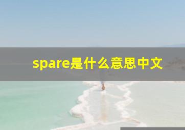 spare是什么意思中文