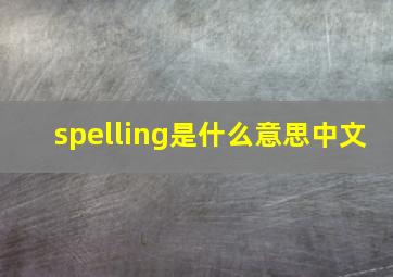 spelling是什么意思中文