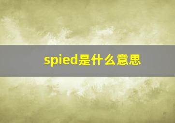 spied是什么意思