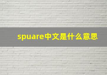 spuare中文是什么意思