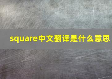 square中文翻译是什么意思