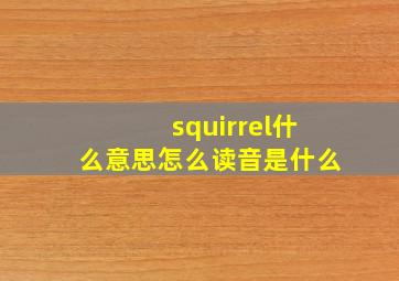 squirrel什么意思怎么读音是什么