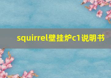 squirrel壁挂炉c1说明书