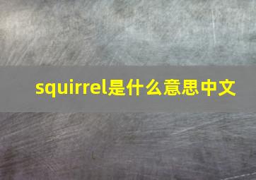 squirrel是什么意思中文