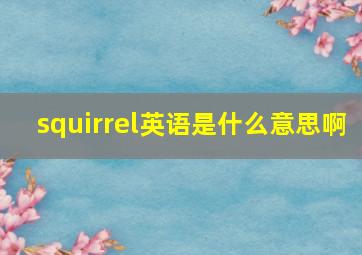 squirrel英语是什么意思啊