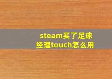 steam买了足球经理touch怎么用