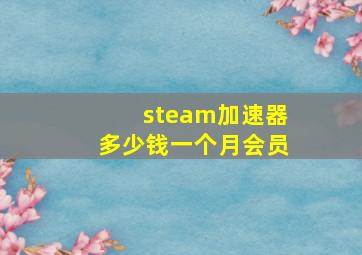 steam加速器多少钱一个月会员