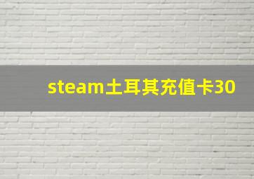 steam土耳其充值卡30