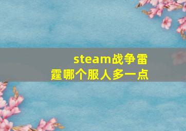 steam战争雷霆哪个服人多一点