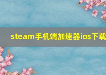 steam手机端加速器ios下载